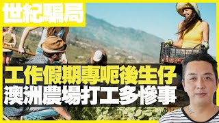 何亨：工作假期Working Holiday 專呃後生仔 澳洲農場打工多慘事 （D100 上綱上線）