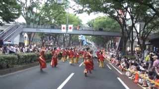 さぬき舞人　「天下御免」　原宿表参道元氣祭スーパーよさこい２０１３　（表参道アベニュー）　H25.8.25