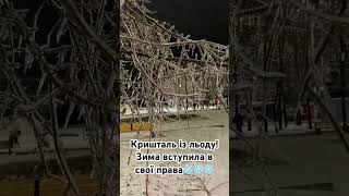 Кришталь із льду! Україна, зима вступила в свої права.