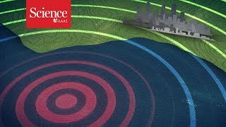 The bigger the earthquake, the longer it takes to issue an alert