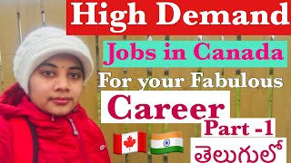 కెనడా లో జాబ్స్ ఎలా |High Demand Jobs in Canada | job Opportunities| Canada Telugu Vlogs