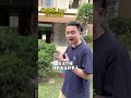 收了一手做叮当的乌鸡翡翠手镯，关于叮当镯的故事你听过嘛 翡翠手镯 翡翠手鐲 翡翠 翡翠直播