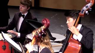 07 DHS Chamber Orchestra Libertango Piazzolla