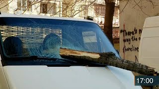 ქრონიკა 17:00 საათზე - 26 იანვარი, 2020 წელი