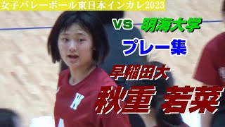 秋重若菜 早稲田大 プレー集 vs明海大 女子バレーボール東日本インカレ2023