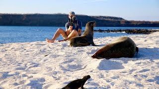 SHARKS, SEA LIONS, & SUNSETS | Galapagos Cruise Day 5