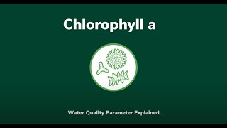 Chlorophyll a: A Water Quality Parameter Explained