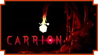 What is Carrion? - (Sci-Fi Monster Game)