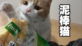 新年早々から暴走する食いしん坊猫ww