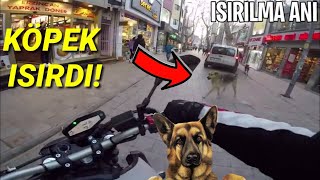 KÖPEKLER SALDIRDI ! (+18) - MotoVlog #001