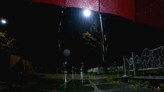 Umbrella Rain Sound ASMR watching the night view of Sejong Lake Park on a rainy season korea