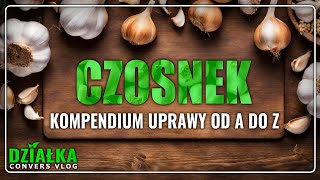 UPRAWA CZOSNKU: Przewodnik po Uprawie Czosnku w Ogrodzie! Odkrywam Tajniki Uprawy od A do Z!