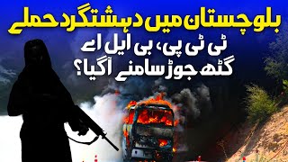 حملات اتوبوس بلوچستان: حقیقت پنهان طالبان، TTP و BLA Nexus علیه پاکستان | اخبار سپیده دم