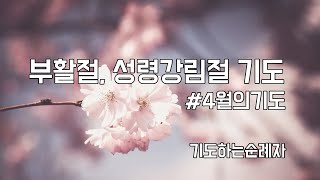 부활절 아침에 드리는 기도ㅣ4월의기도ㅣ부활절기도ㅣ기도하는순례자