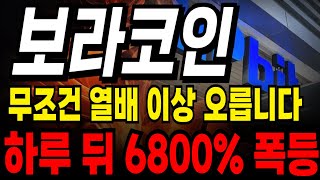 [보라코인 전망] 드디어 대폭등 나옵니다!!! 진짜 세력 계획 입수 지금부터 6800% 쏩니다 #보라 #보라코인