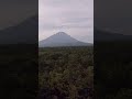 ஜப்பானில் இருக்கும் மர்மங்கள் நிறைந்த காடு 😱 aokigahara forest shorts