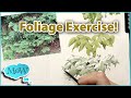 Quick & Easy Foliage Simplification Exercise for Watercolor