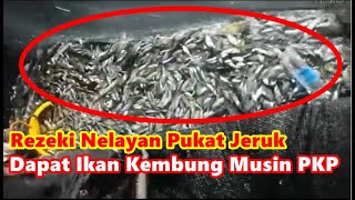 Rezeki Nelayan Pukat Jeruk Dapat Ikan Kembung Musin PKP