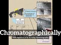 What is Chromatographically? | How Does Chromatographically Look?