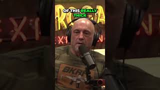 JOE ROGAN on Babalu's CRAZY Knockout Power #joerogan #mma #ufc #jiujitsu #boxing