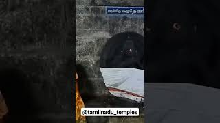 Shri Ilanji Kumarar Kovil அருள்மிகு இலஞ்சிக்குமாரர் திருக்கோயில் #murugan #muruga #tenkasi #627802