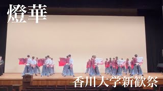 香川大学よさこい連風華　新歓祭2024 23年度演舞　「燈華」