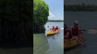 #Kayaking at #Kavvayi #Backwaters #ItsTimeForKerala #reels #shorts #kerala #keralatourism #youtube