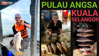 Pulau Angsa Kuala Selangor Bottom Fishing Golden Snapper/Ikan Jenahak | Catching wild fingermark