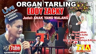 ORGAN TARLING EDDY ZACKY LIVE RANDUSARI LOSARI BREBES 26 DESEMBER 2017 EDISI TENGAH MALAM