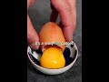 the best gadget for eggs