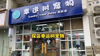 去探店咯～ 想装修宠物店必看～