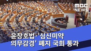 윤창호법·'심신미약 의무감경' 폐지 국회 통과 (2018.11.29/5MBC뉴스)