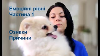 Емоційні рівні. ЧАСТИНА 1 - Ознаки, Причини