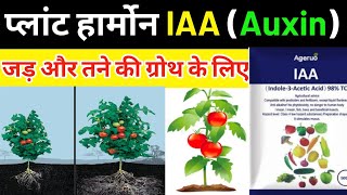 IAA(Auxin Hormone)Indole -3 Acetic Acid|| प्लांट हार्मोन|जड़ और तने की ग्रोथ के लिए (PGP)