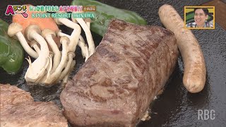 【Aランチ】いつか泊まりたいホテル特集～中南部編～　PART3　2/24 OA