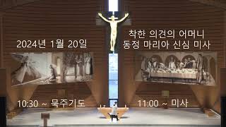 남양성모성지 / 2024. 1.20 / 착한 의견의 어머니 동정 마리아 신심 / 묵주기도 / 미사