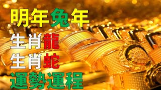 2023年屬龍人與屬蛇人，兩大生肖的運勢運勢運程分析，要注意的是，2023年癸卯兔年，屬龍人與屬蛇人兩大生肖均無犯太歲，兩大生肖的運勢上揚或下跌，屬龍人、屬蛇人2023年運勢及運程大解析