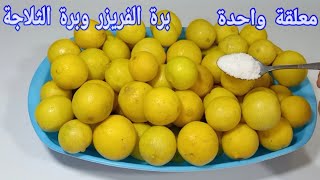 معلقة واحدة لتخزين الليمون🍋 من السنة للسنة برة الفريزر وبرة الثلاجة طازجة وجامد، سر تجار الليمون 🤔