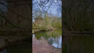 Dalton church #skem #church #ducks #peace #nature