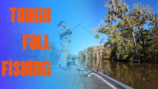 This Bass Snapped My Rod.   Fall Bass Fishing: Transitioning Waters & Dropping Temperatures