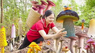 Harvesting Giant Rare Mushrooms in the Forest