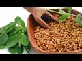 உடல் பலம் பெற இந்த கீரை போதும் benefits of eating greens in tamil tamil news health tips tamil