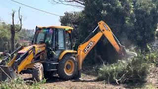 JCB Backhoe Loader Breaking Mango Tree. #jcbbackhoeloader #viralshorts2024 #jcbvideo #jcbsong