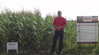 FMC Canada - Focus Herbicide Virtual Tour