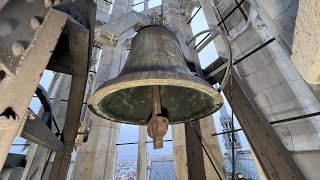 Wien - Votivkirche zum Göttlichen Heiland - (A-1090 Wien) - Einzelläuten und Vollgeläute