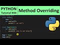 Python Tutorial #44 - Method Overriding in Python Programming for Beginners