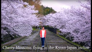 【MV・オリジナル曲】小倉悠吾　桜舞うインクライン2021 / Cherry blossoms flying in the Kyoto Japan incline MV・Short Ver.