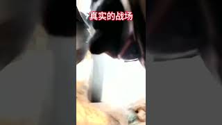 真实的战场.mp4