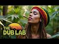 Dub Herb Chronicles | Best Reggae For Relaxation And Calm