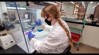 Virtual Tour: The Wright Lab